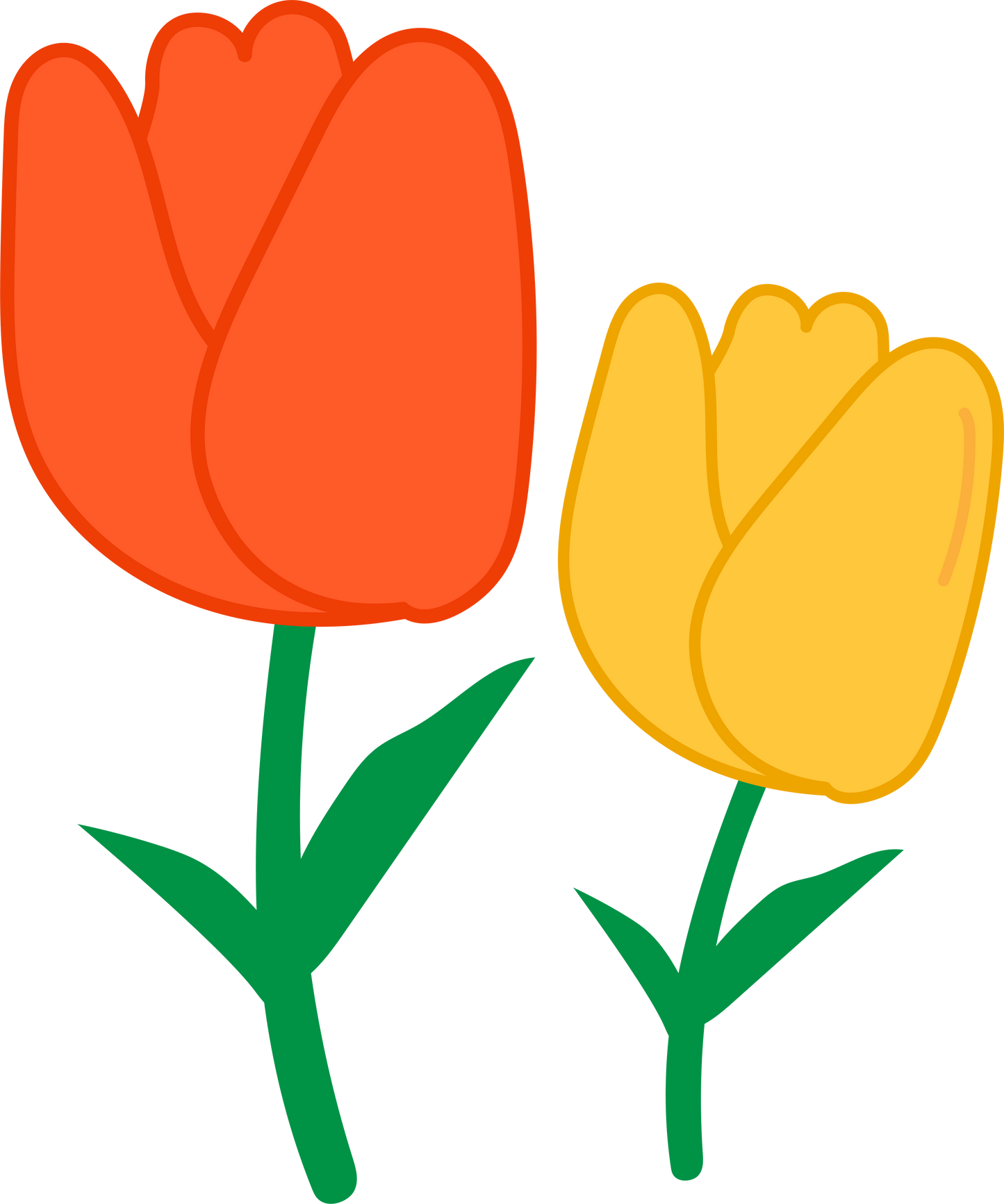 tulip