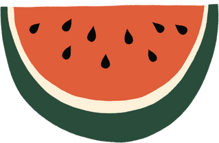 Hand drawn Watermelon fruit food element summer snack